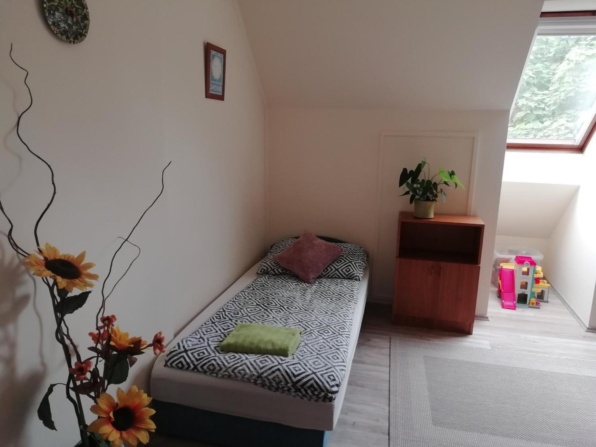 Céhmesterek apartman Eğri Oda fotoğraf