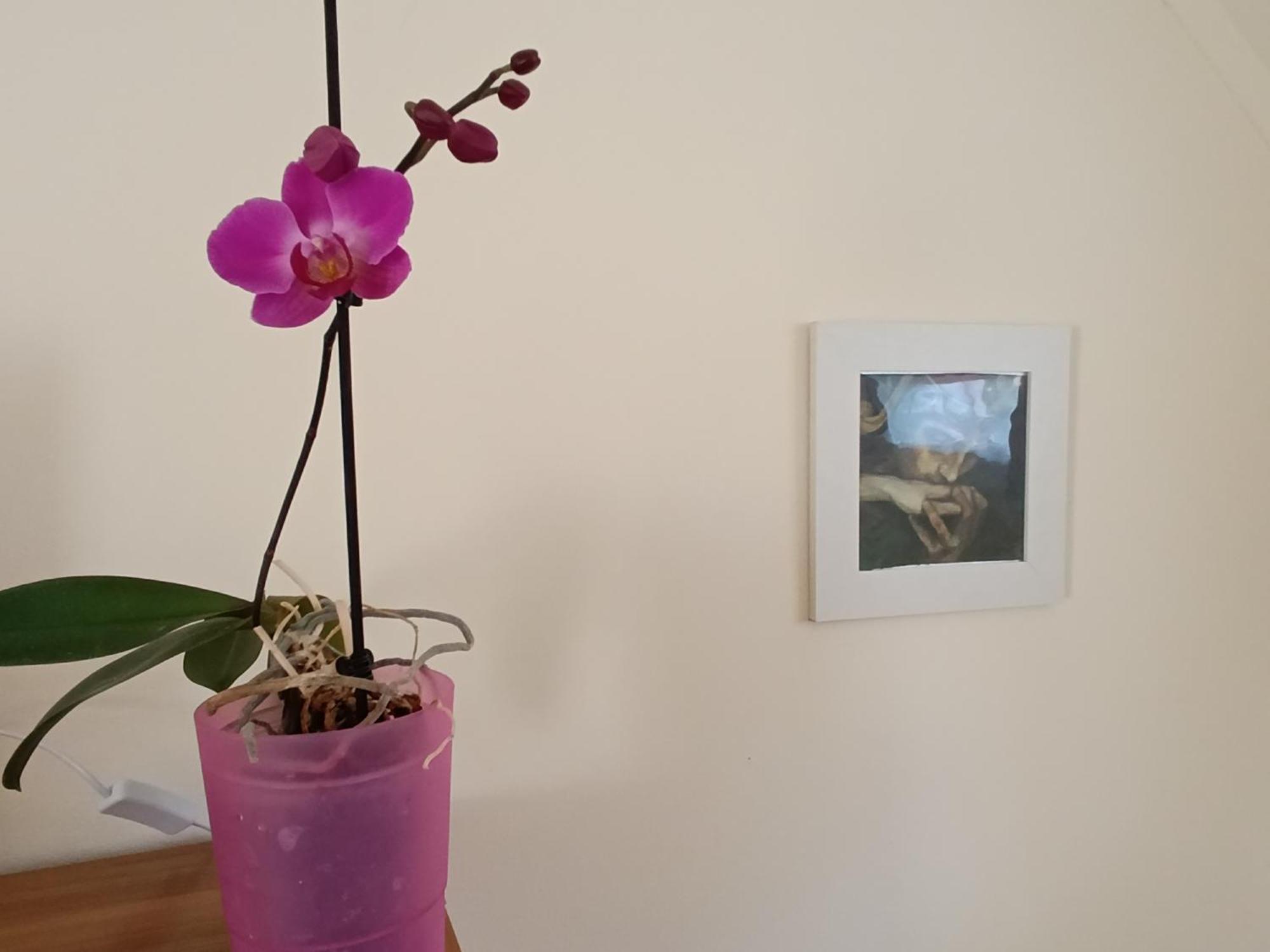 Céhmesterek apartman Eğri Dış mekan fotoğraf
